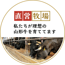 直営牧場で私たちが理想の山形牛を育てています