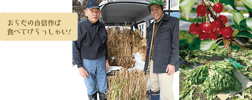 おらだの自信作ば、食べてけらっしゃい