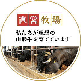 直営牧場で私たちが理想の山形牛を育てています