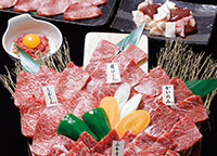 12品8,000円コース