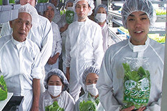 有限会社安全野菜工場