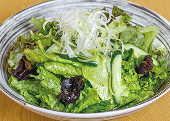 ３種の野菜ときくらげの塩サラダ