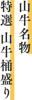 山牛名物 特選山牛桶盛り